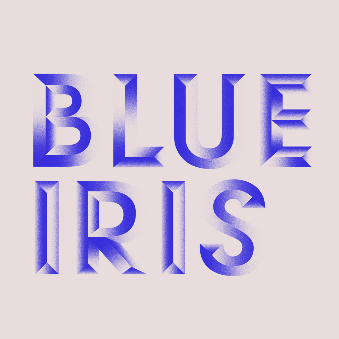 Blue-Iris-01